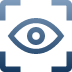 Feature Icon