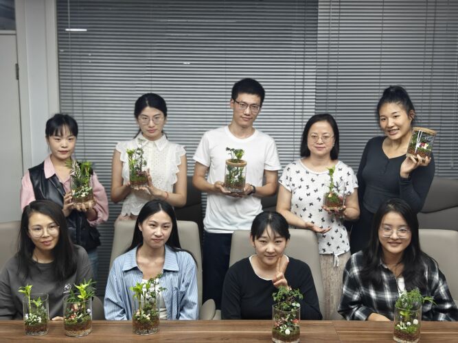 2024 北京中秋DIY绿植活动